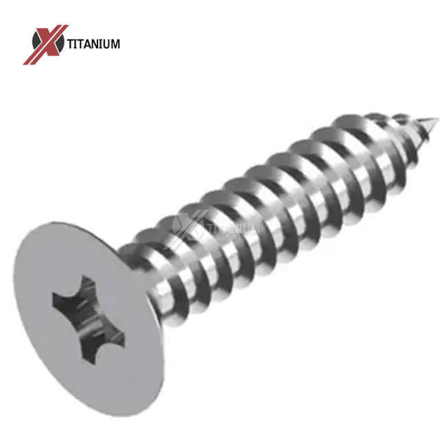 DIN7982 Titanium Phillip Countersunk Head Tapping Screws